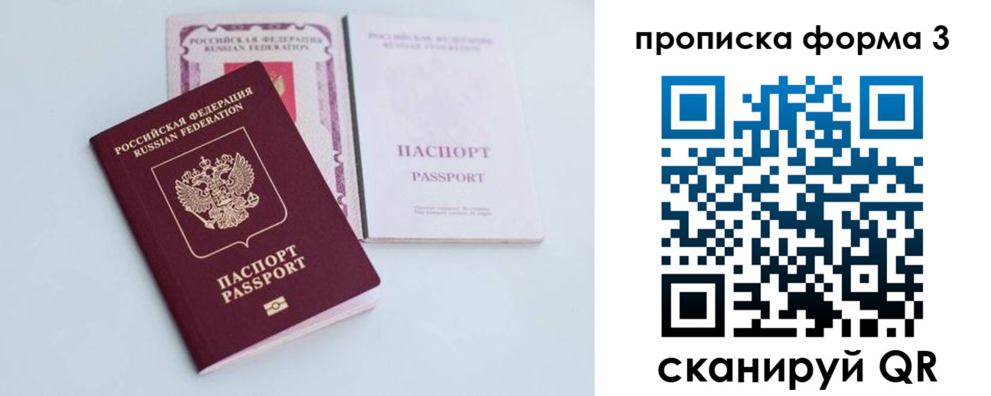 временная регистрация поиск в Светлом