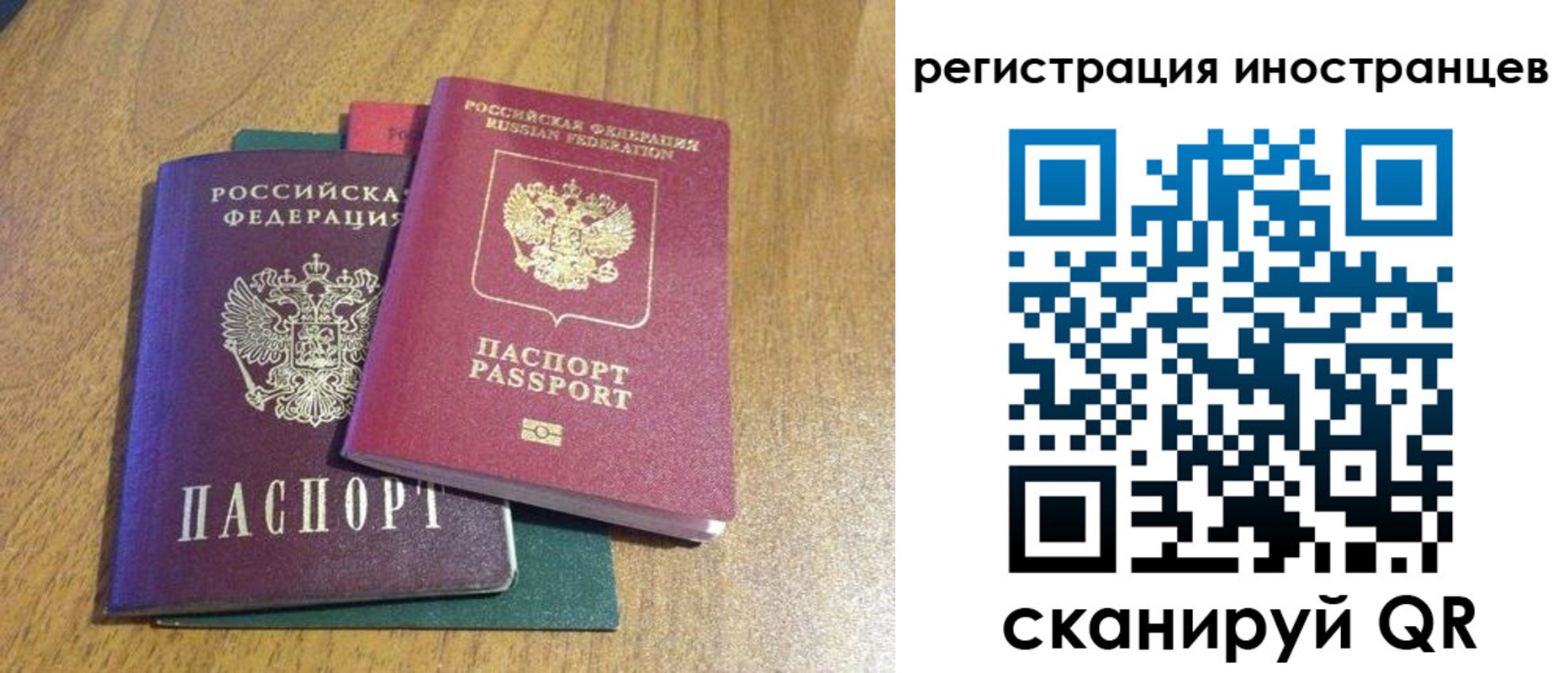 временная регистрация поиск в Светлом